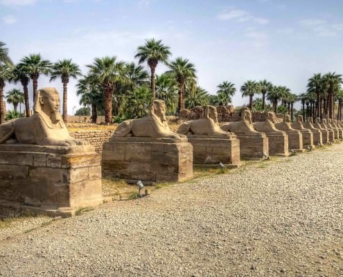 Avenue of Sphinxes, Luxor