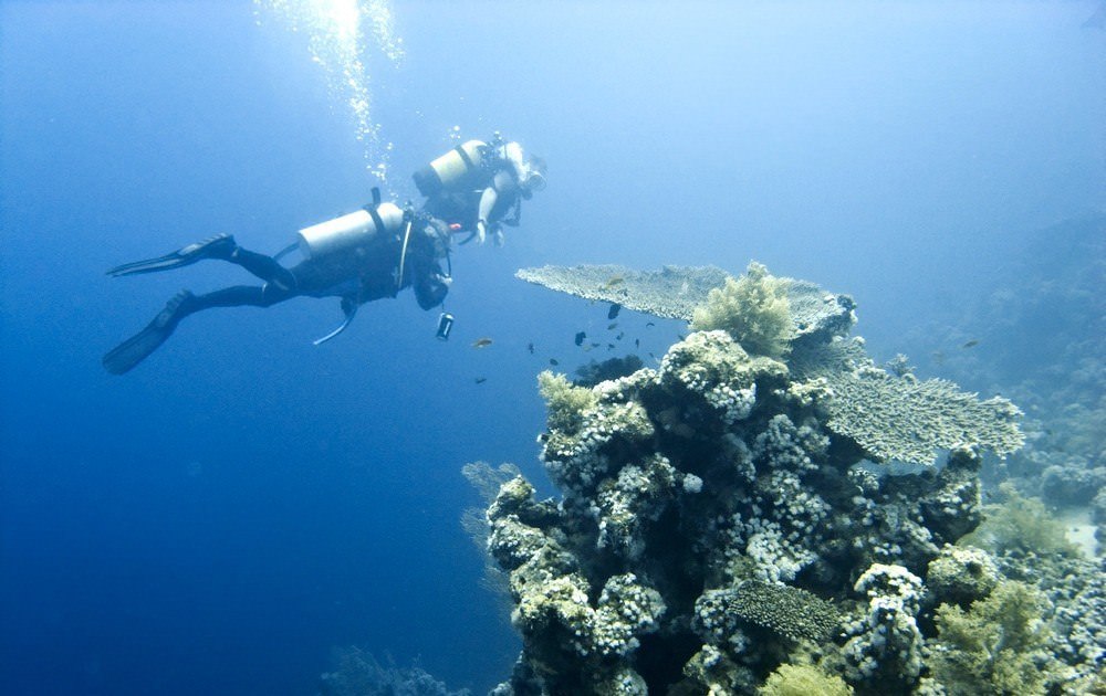 El Gouna Diving Holidays → Come Explore Egypt's Red Sea