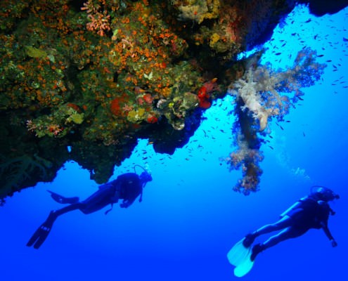 Hurghada Diving Holidays