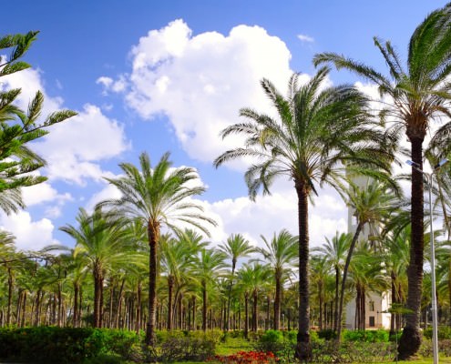 Montazah Palace and Royal Gardens in Alexandria, Egypt