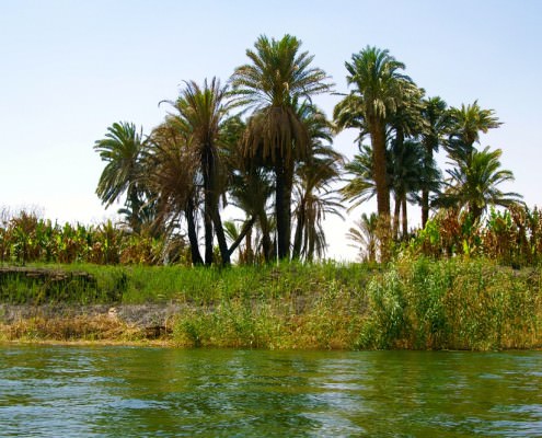 15 Day Egypt Tour - Holy Family Trip to Egypt