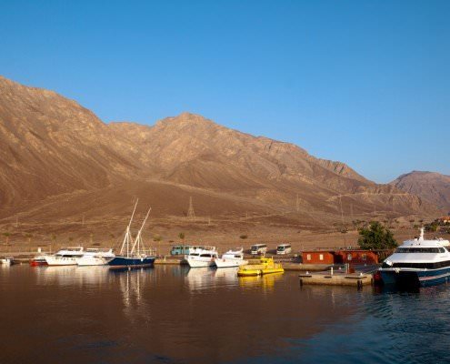 Taba Tours
