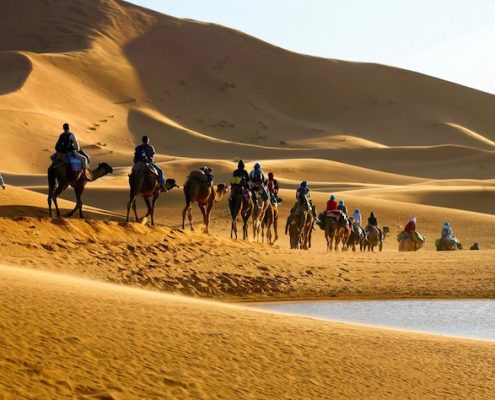 Marrakech Desert Tours - Caravan of tourists on camels riding in the desert