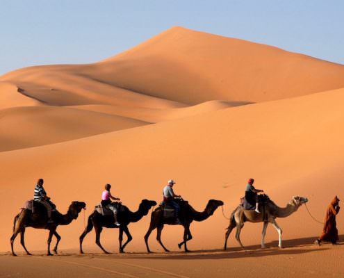Things to Do in Morocco - Camel Caravan