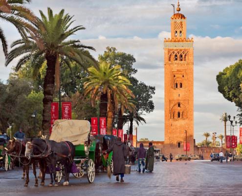 Things to do in Marrakech - Cab drivers in horse-drawn carriages around Koutoubia mosque awaiting tourists