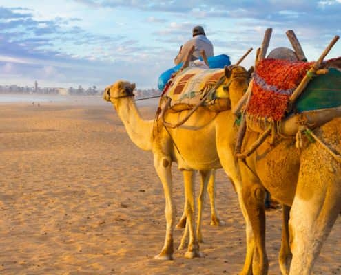 Essaouira Tours