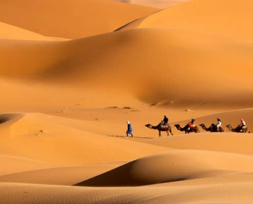 Merzouga Tours