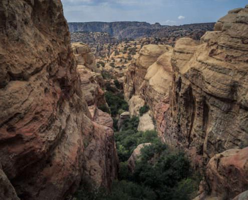 Dana Biospere Reserve