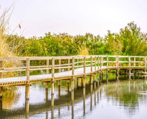 Footbridge in Azraq Wetland Reserve, Jordan