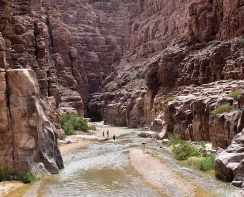 Wadi Mujib Nature Reserve was established in 1987 and is located at the eastern shore of the Dead Sea