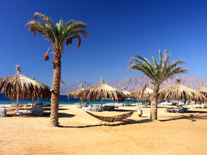 Egypt Luxury Vacations - Beach with palms and hammock, Red Sea