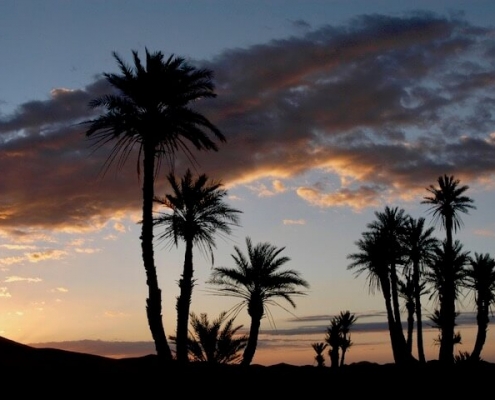 8 Day Morocco Tours