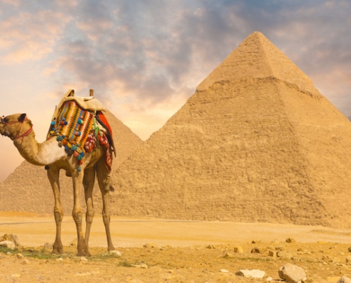 Tours A Egipto Desde 1955 Paquetes De Viaje A Egipto épico