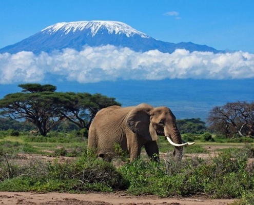 Egypt and Tanzania Tour