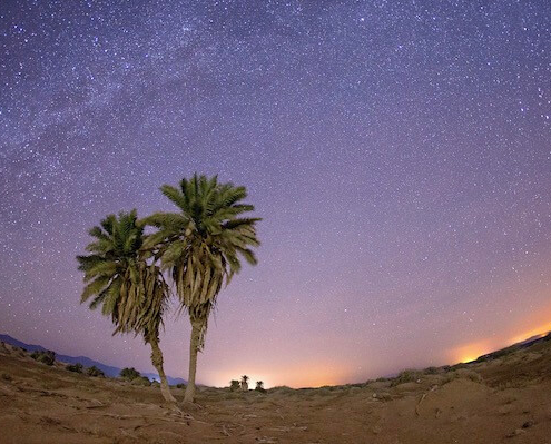 Sharm El Sheikh Safari