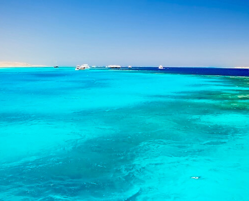 Giftun Island Snorkeling