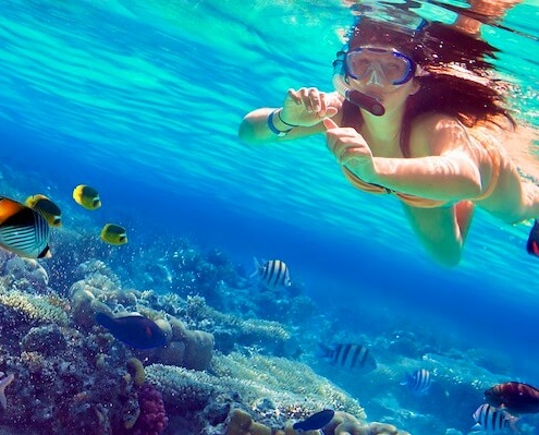 Mahmya Island Snorkeling
