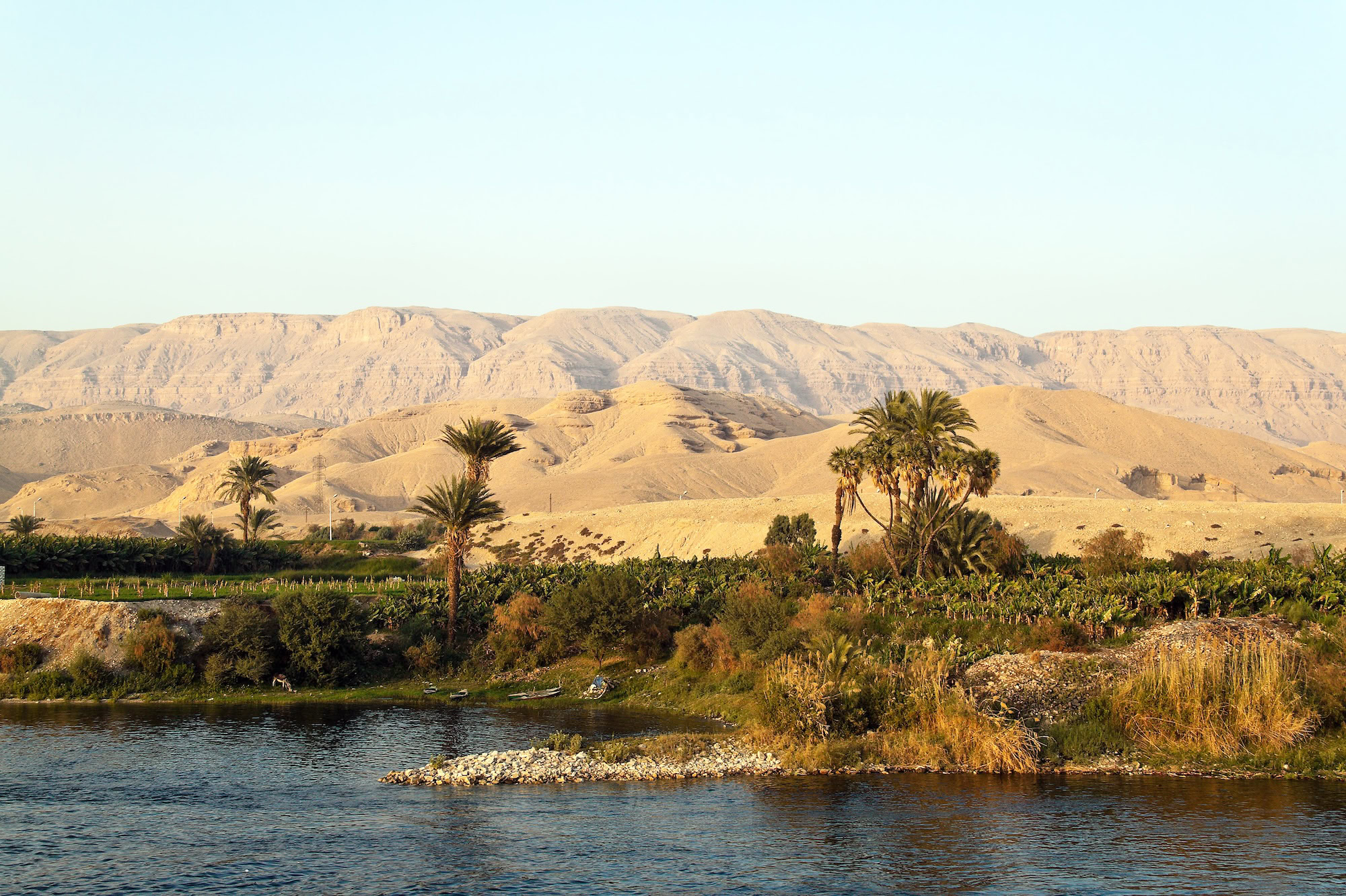 Nile River with lush palm trees and vegetation along the banks