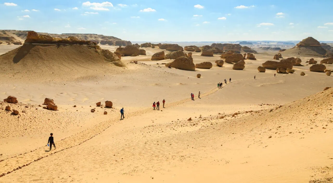 Fayoum Oasis