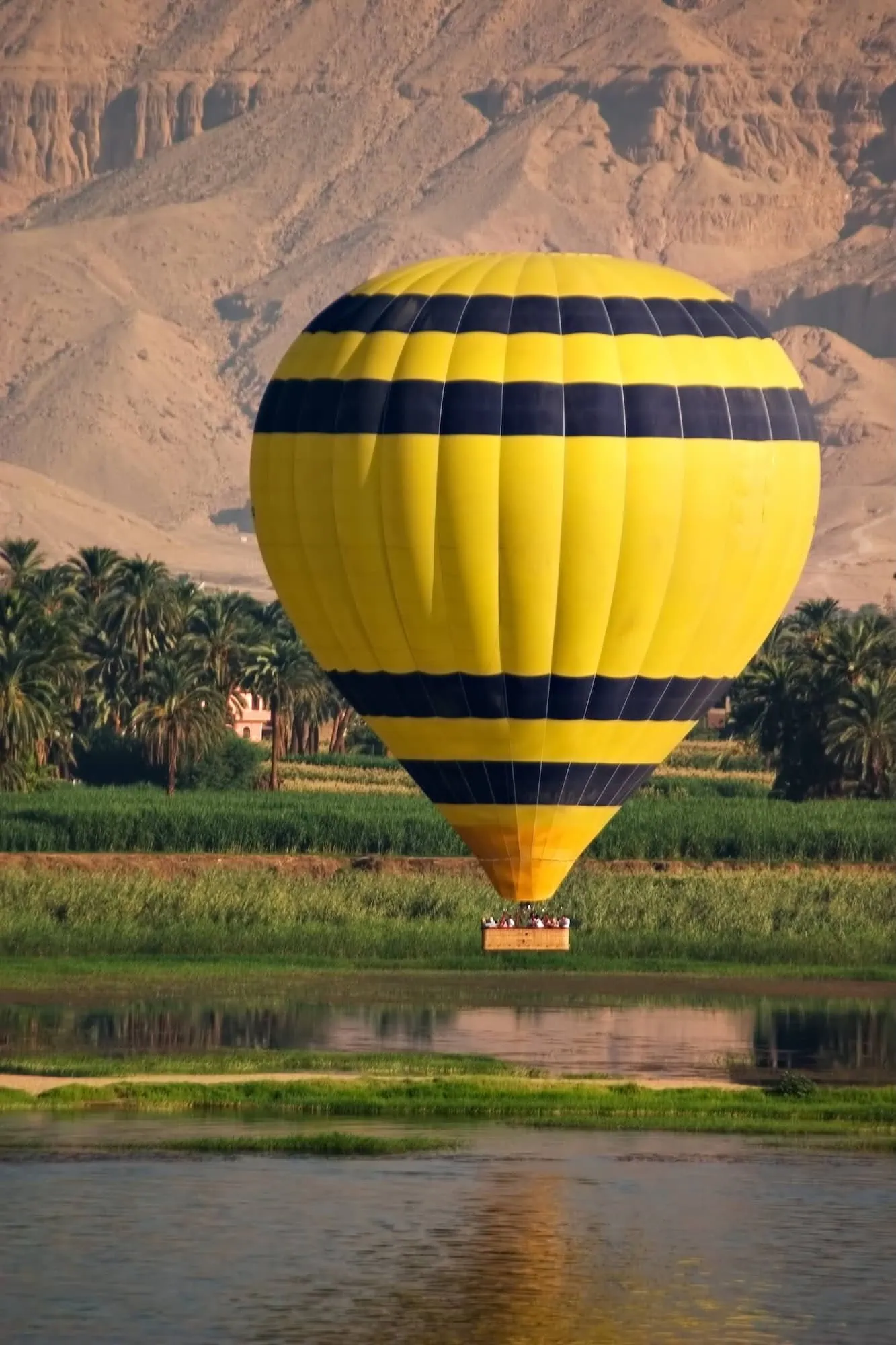 Globo aerostático volando sobre el desierto egipcio con palmeras y el río Nilo