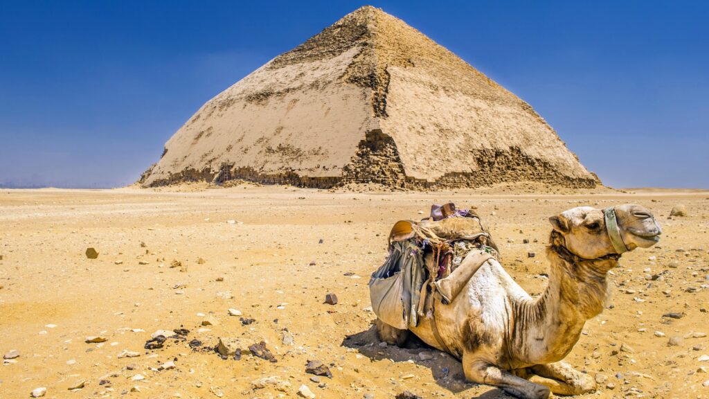 Camel in front of the Bent Pyramid at the Dahshur Pyramids in Cairo, Egypt