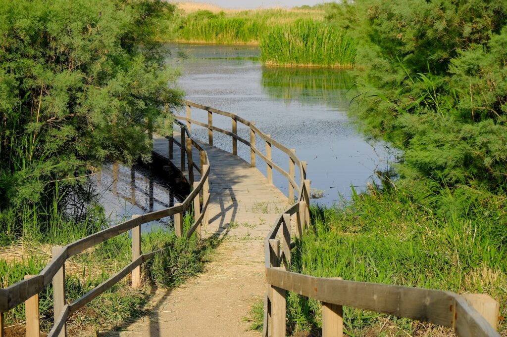 A scenery of the Azraq Wetlands Reserve in the town of Azraq in the eastern desert of Jordan