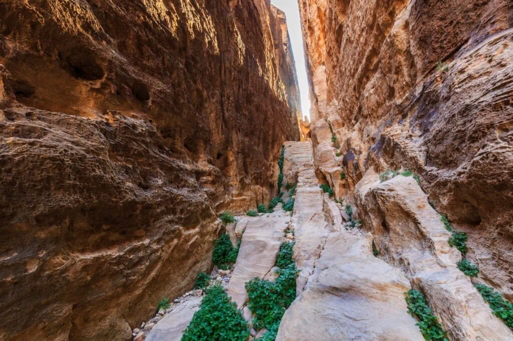 Rock-cut passage between steep sandstone walls in Little Petra, Siq al-Barid, Wadi Musa
