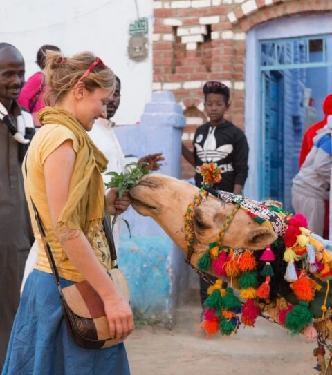 No-Cruise Family Adventure