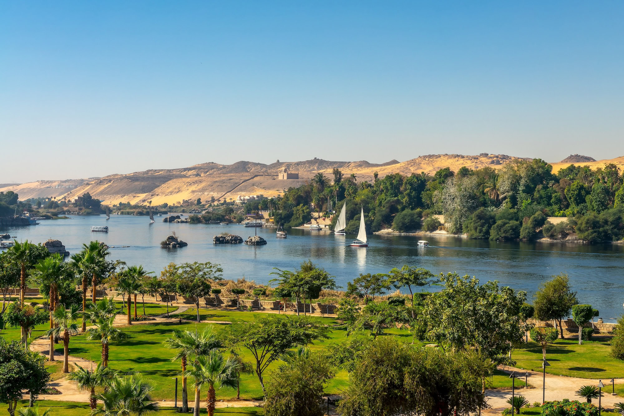 Aerial view of Nile River at Aswan with traditional felucca sailing boats and lush vegetation