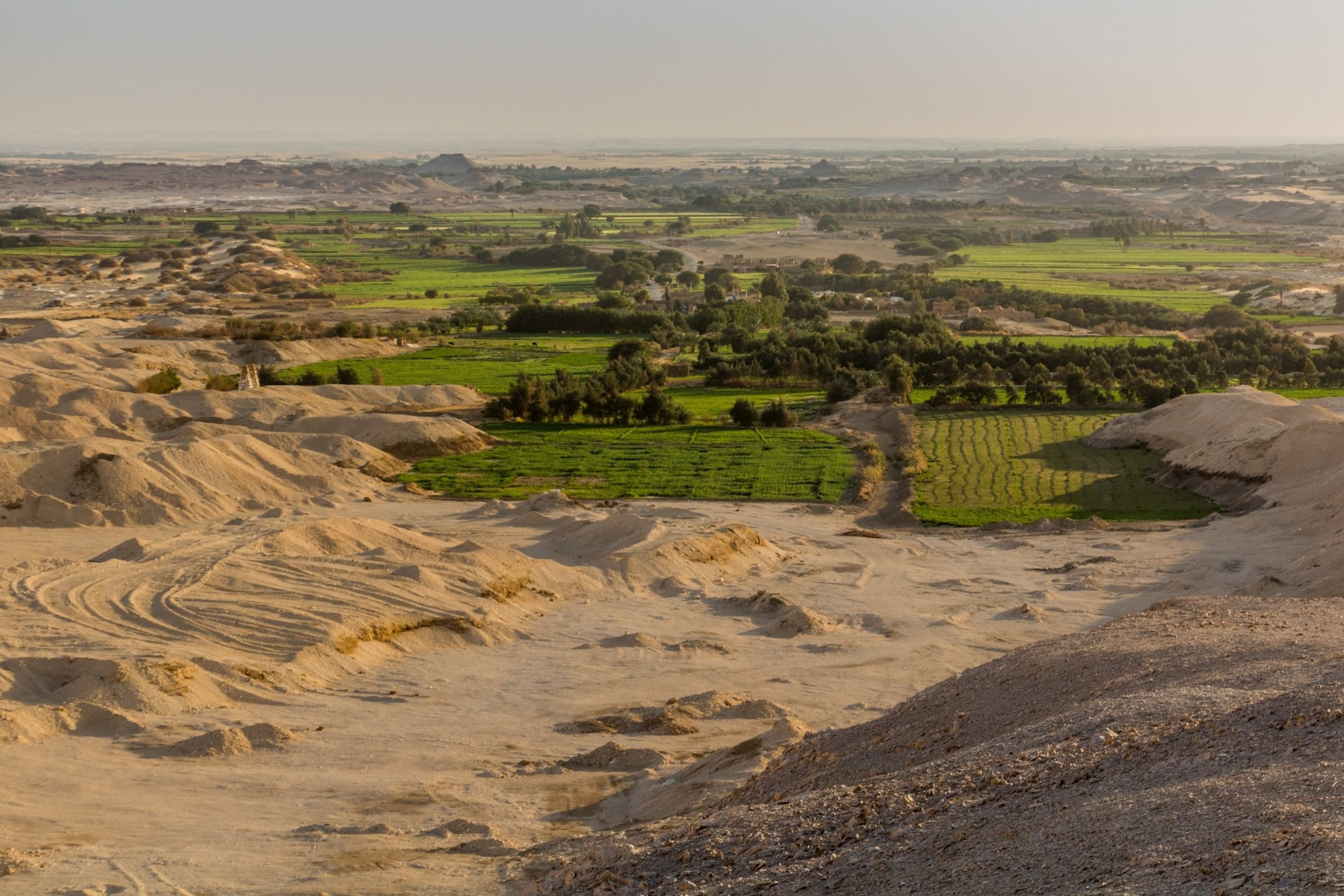 Desert landscape with agricultural fields and hills in Egypt