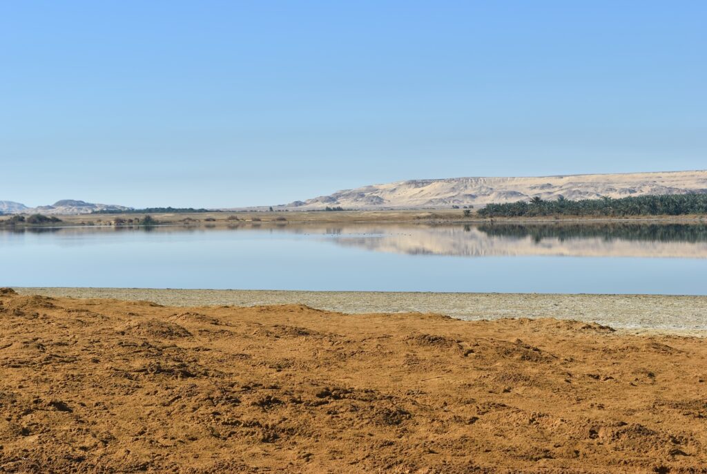 Al-Farafra Oasis landscape in the Sahara Desert