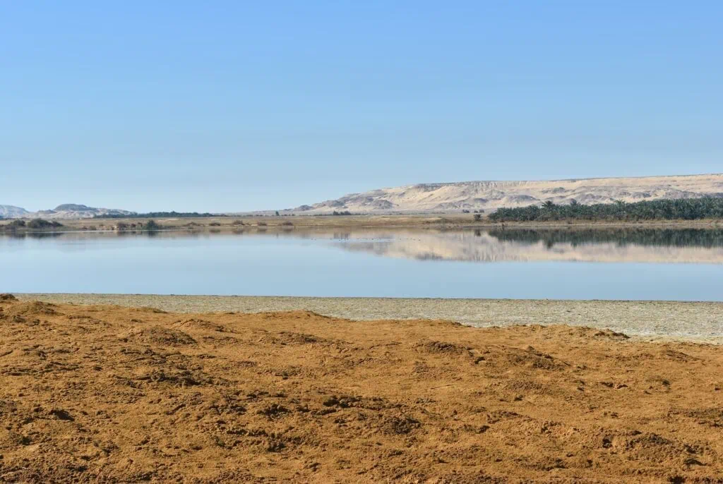 Al-Farafra Oasis landscape in the Sahara Desert