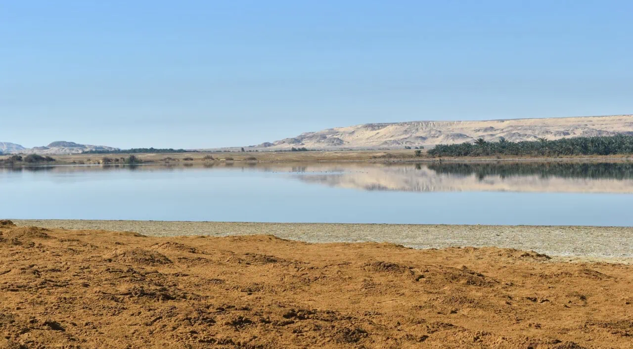 Al-Farafra Oasis in the Sahara Desert