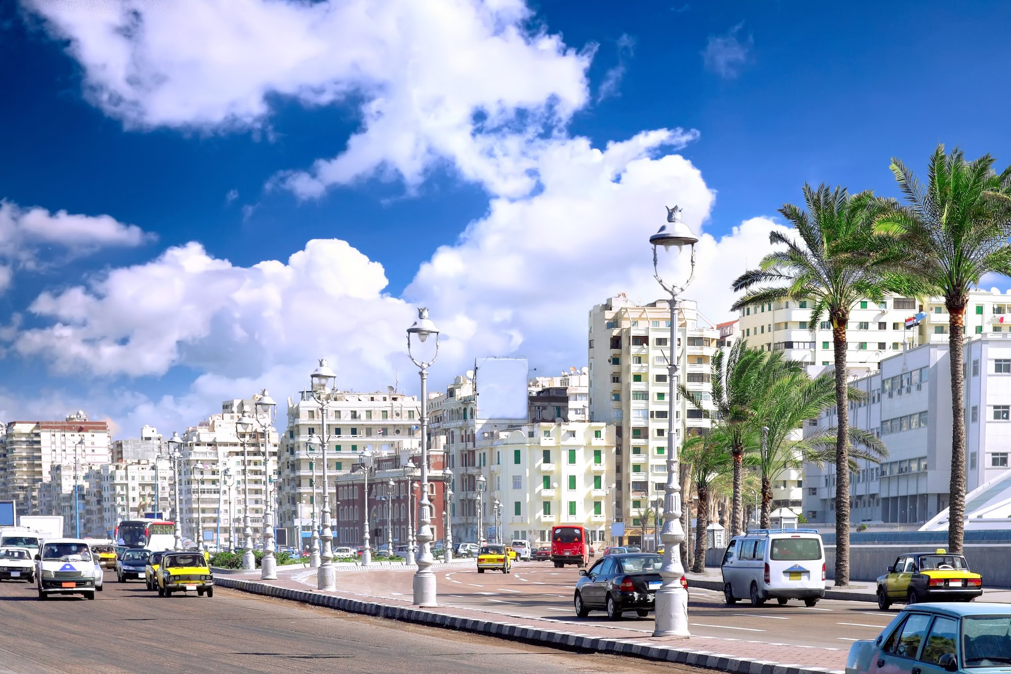 Alexandria's Corniche waterfront promenade with palm trees, buildings and traffic