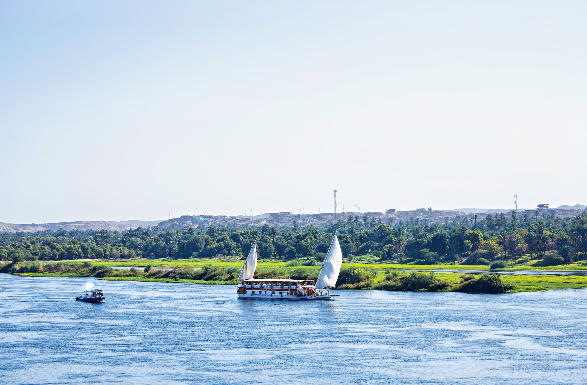 Traditional felucca sailboat on the Nile River with palm trees and shoreline