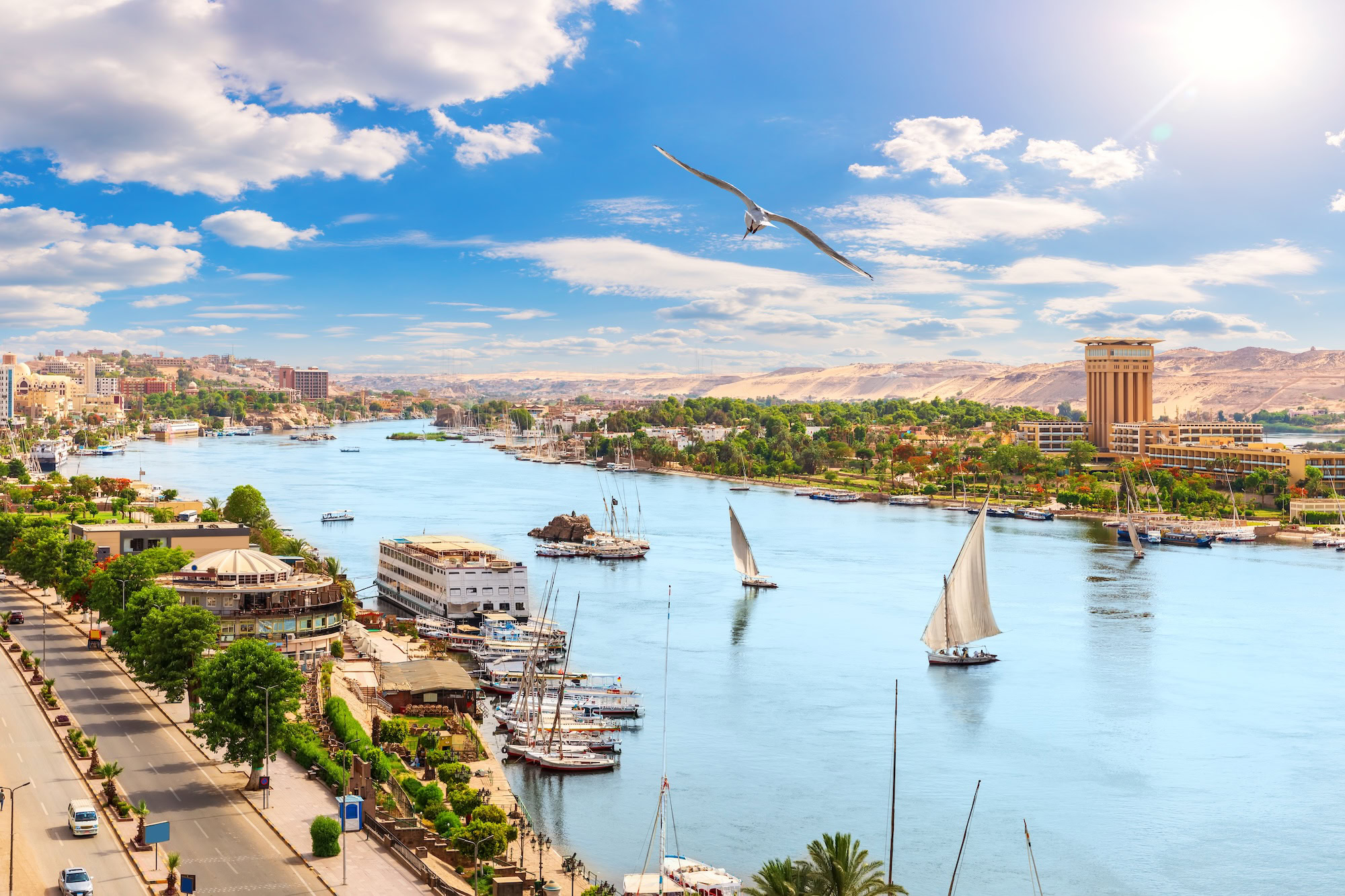 Nile River at Aswan with felucca sailboats and cruise ship on serene waters