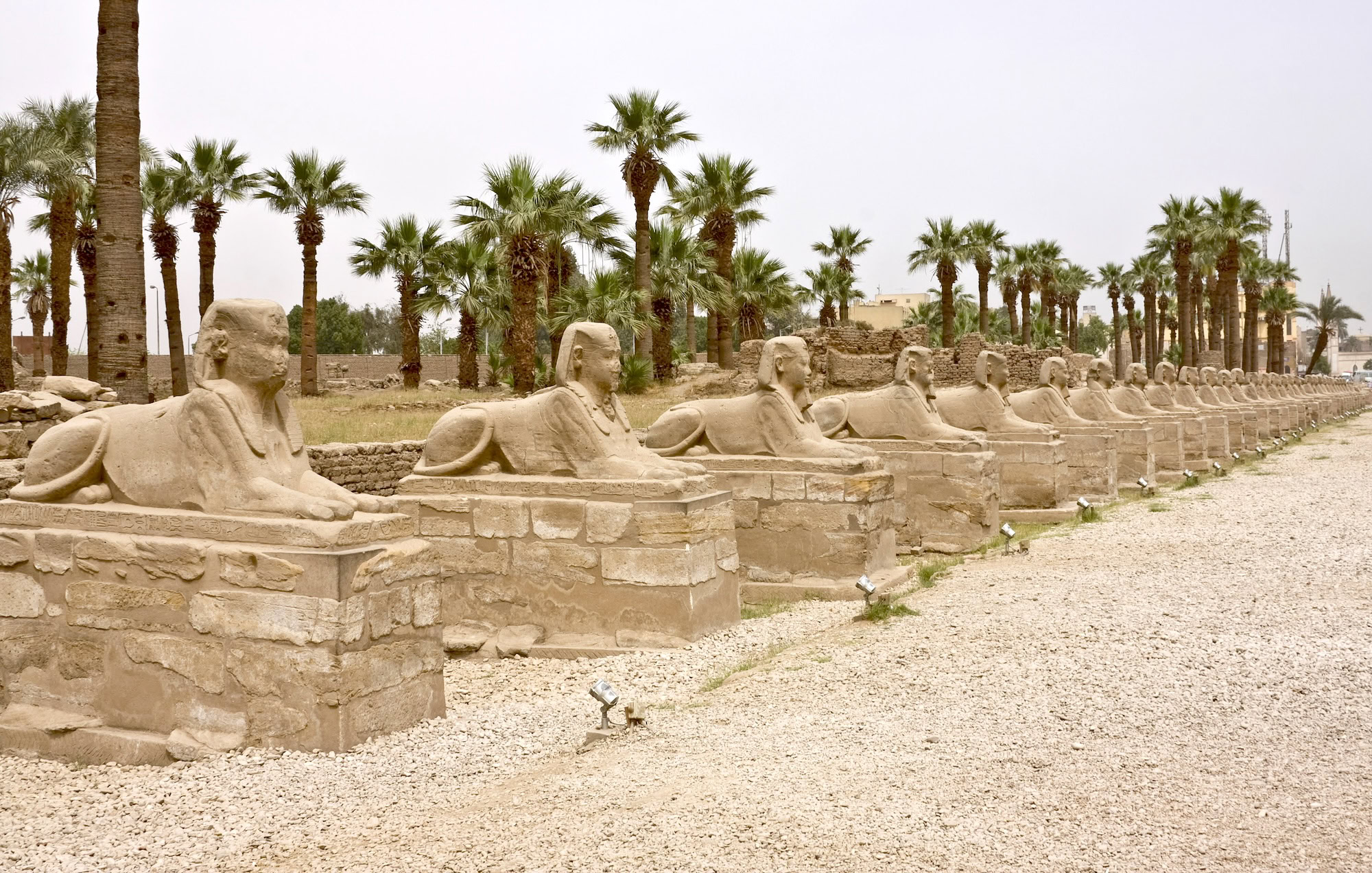 Avenida de las Esfinges en Luxor con estatuas de esfinges y ruinas arqueológicas