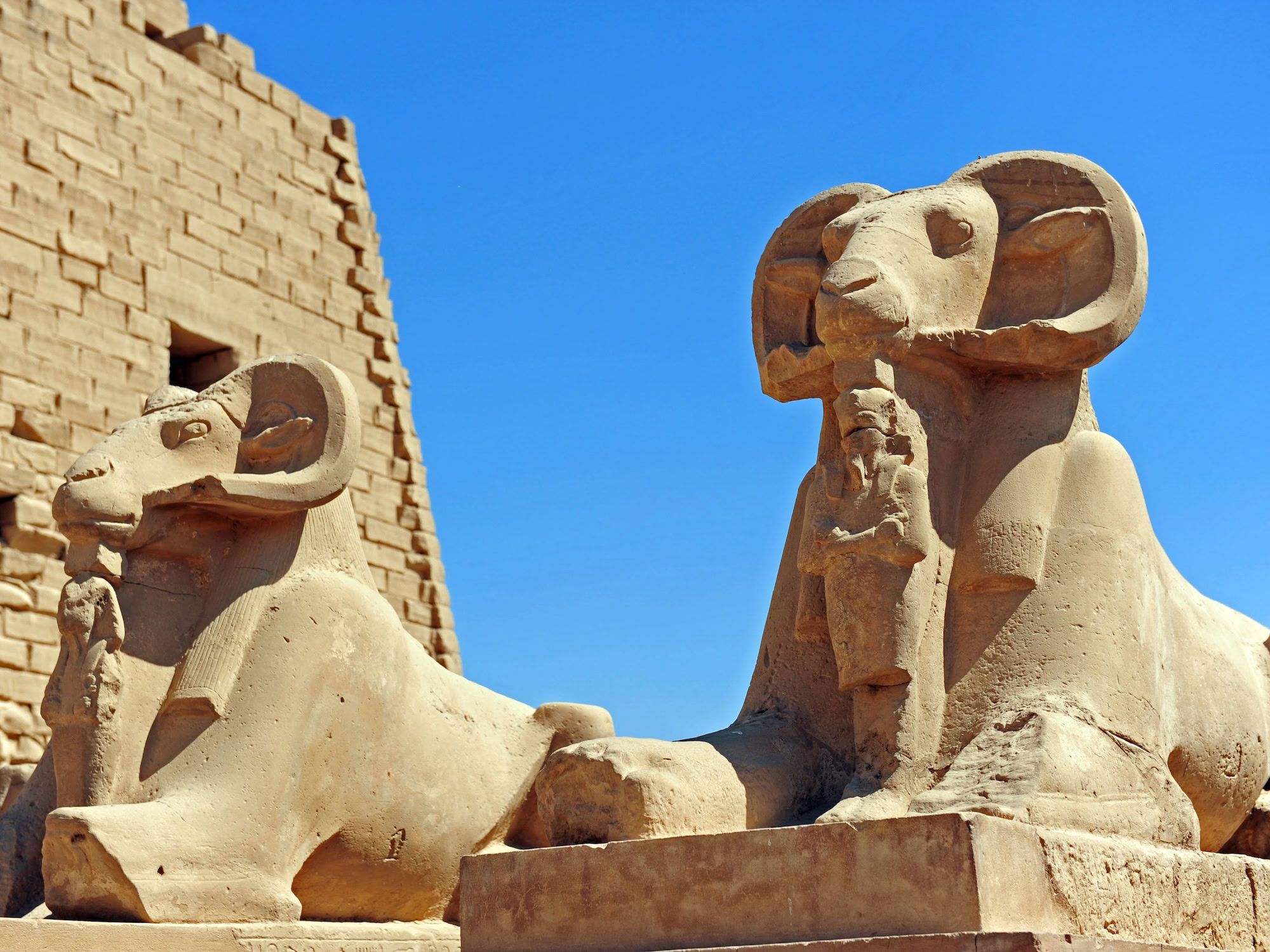 Esfinges com cabeça de carneiro no Templo de Karnak, Luxor