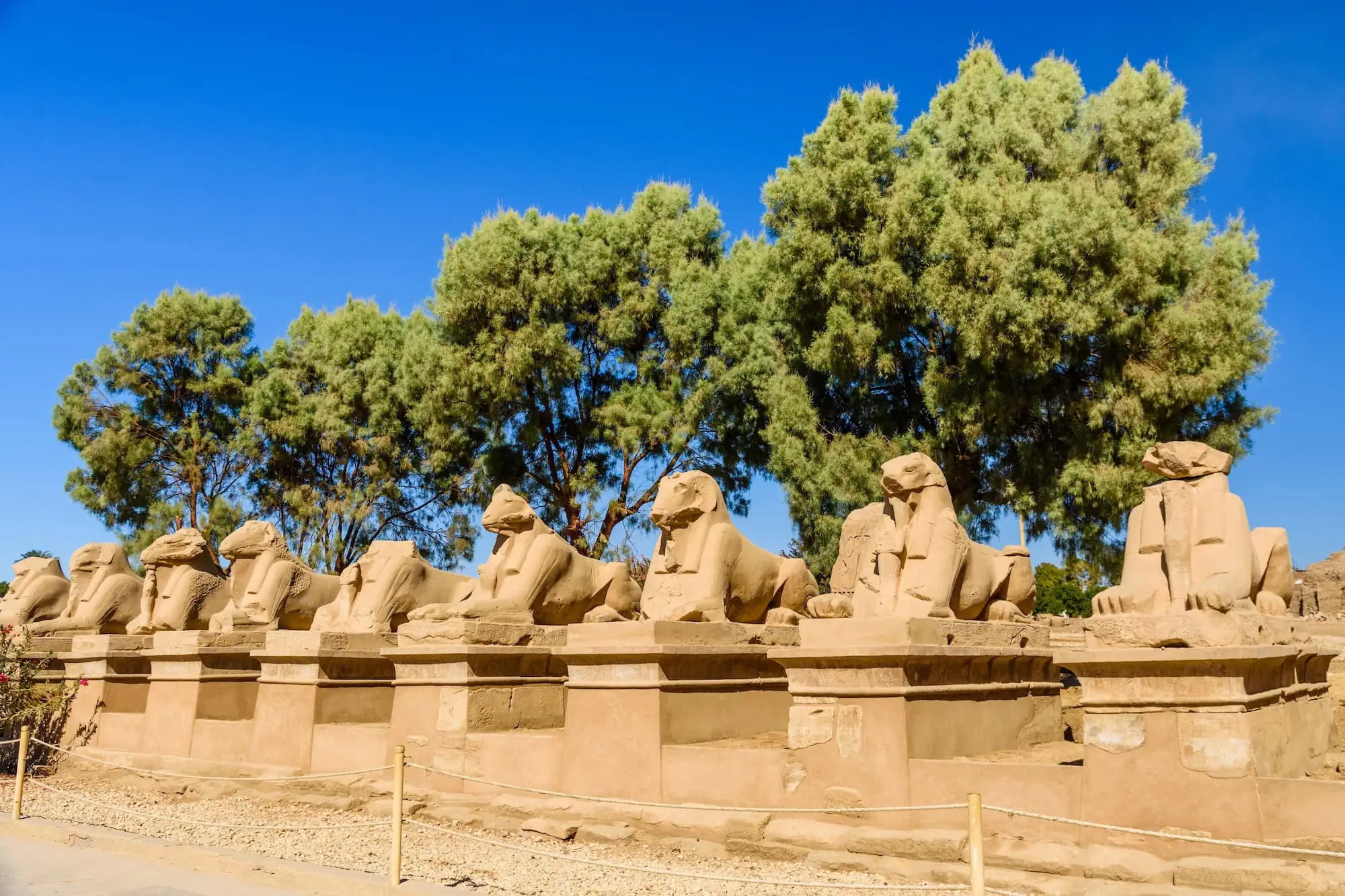 Row of ram-headed sphinx statues along the Avenue of Sphinxes at Karnak Temple, Luxor
