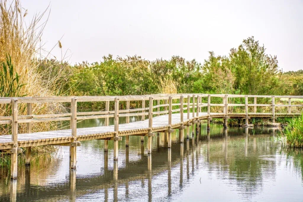 Azraq Wetland Reserve with shallow pools, reed beds, and wooden boardwalks in Azraq