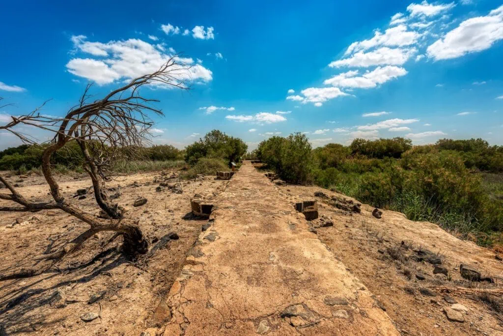 Azraq Wetland Reserve with shallow pools, reed beds, and wooden boardwalks in Azraq