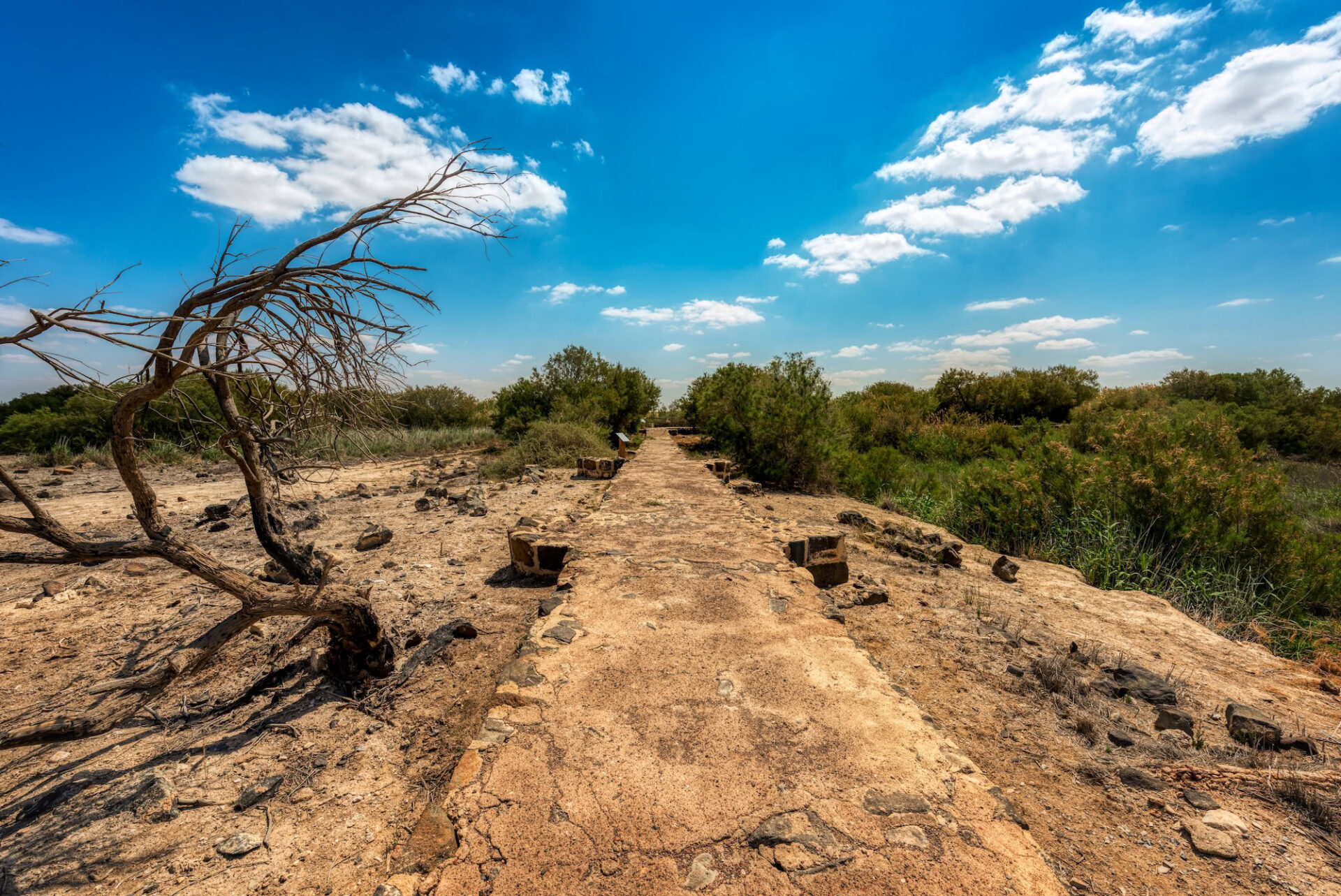 Azraq Wetland Reserve, Jordan [A Story of Demise & Rebirth]
