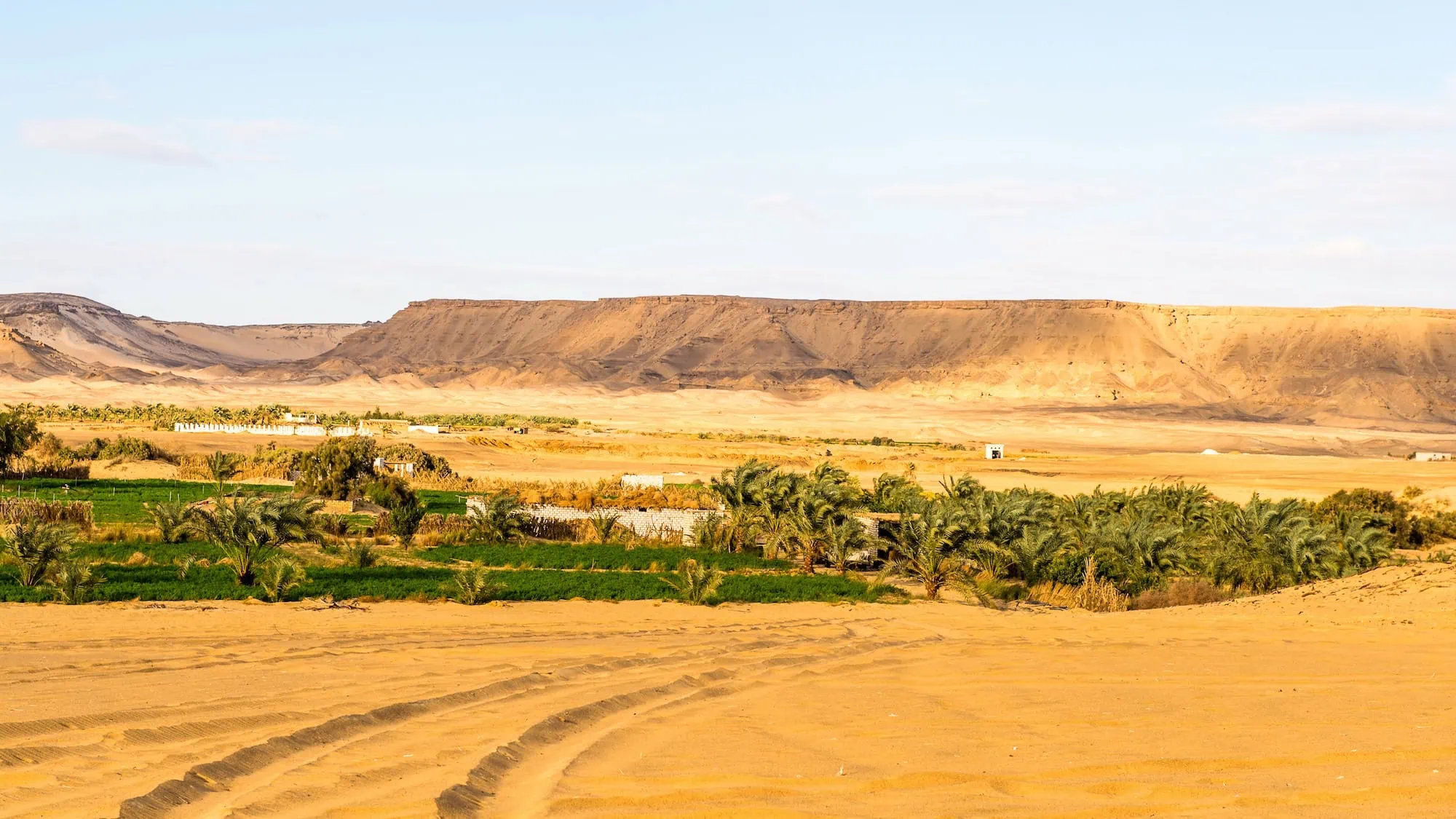 Desert oasis settlement with palm trees and buildings nestled between cliffs and agricultural fields