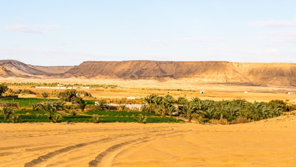 Bahariya Oasis with palm groves, cultivated fields, and surrounding desert landscapes, Bahariya