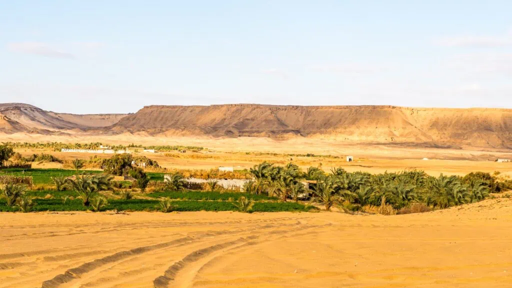 Bahariya Oasis with palm groves, cultivated fields, and surrounding desert landscapes, Bahariya
