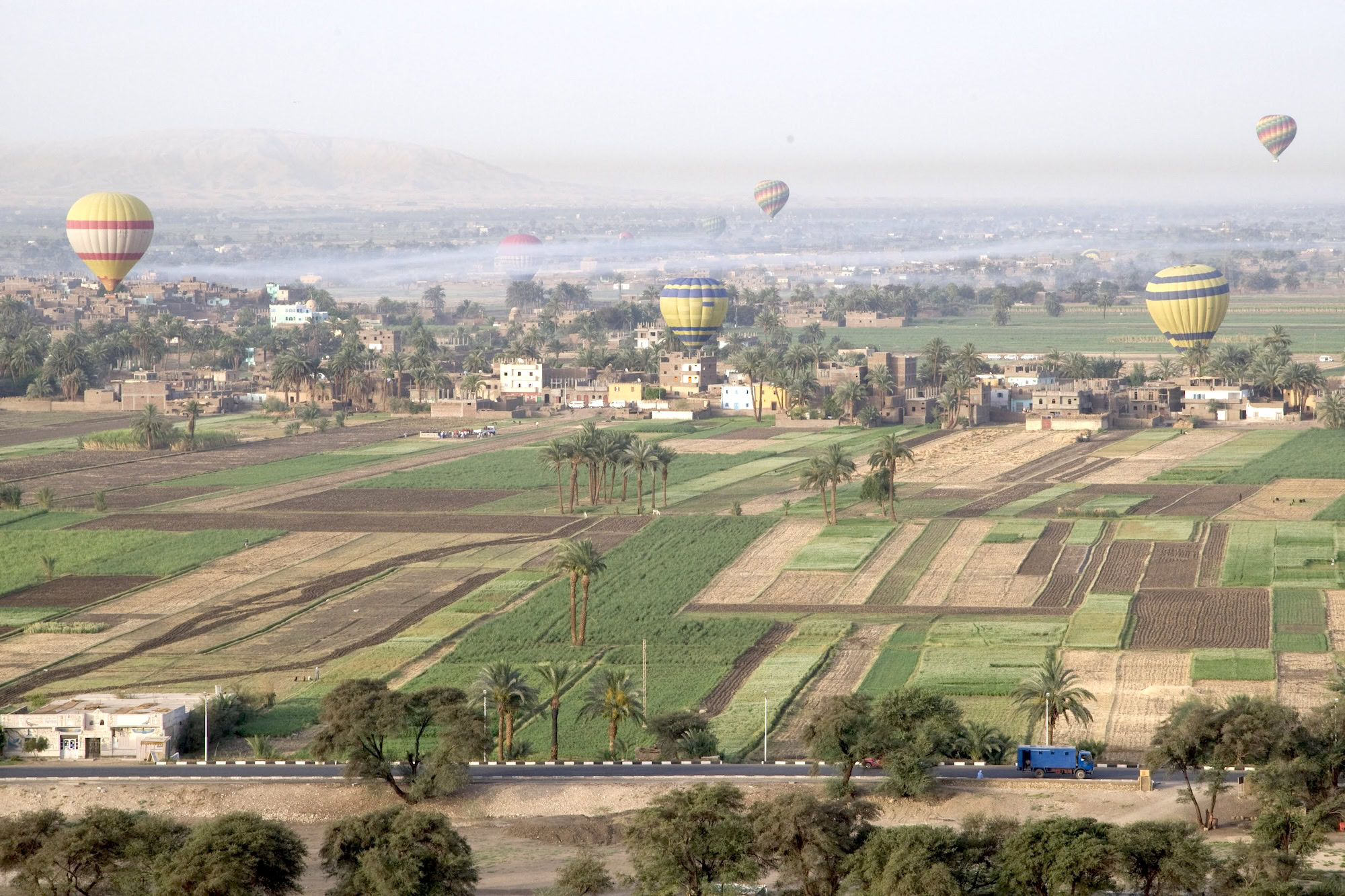 Hot air balloons floating over agricultural fields and palm trees near Luxor