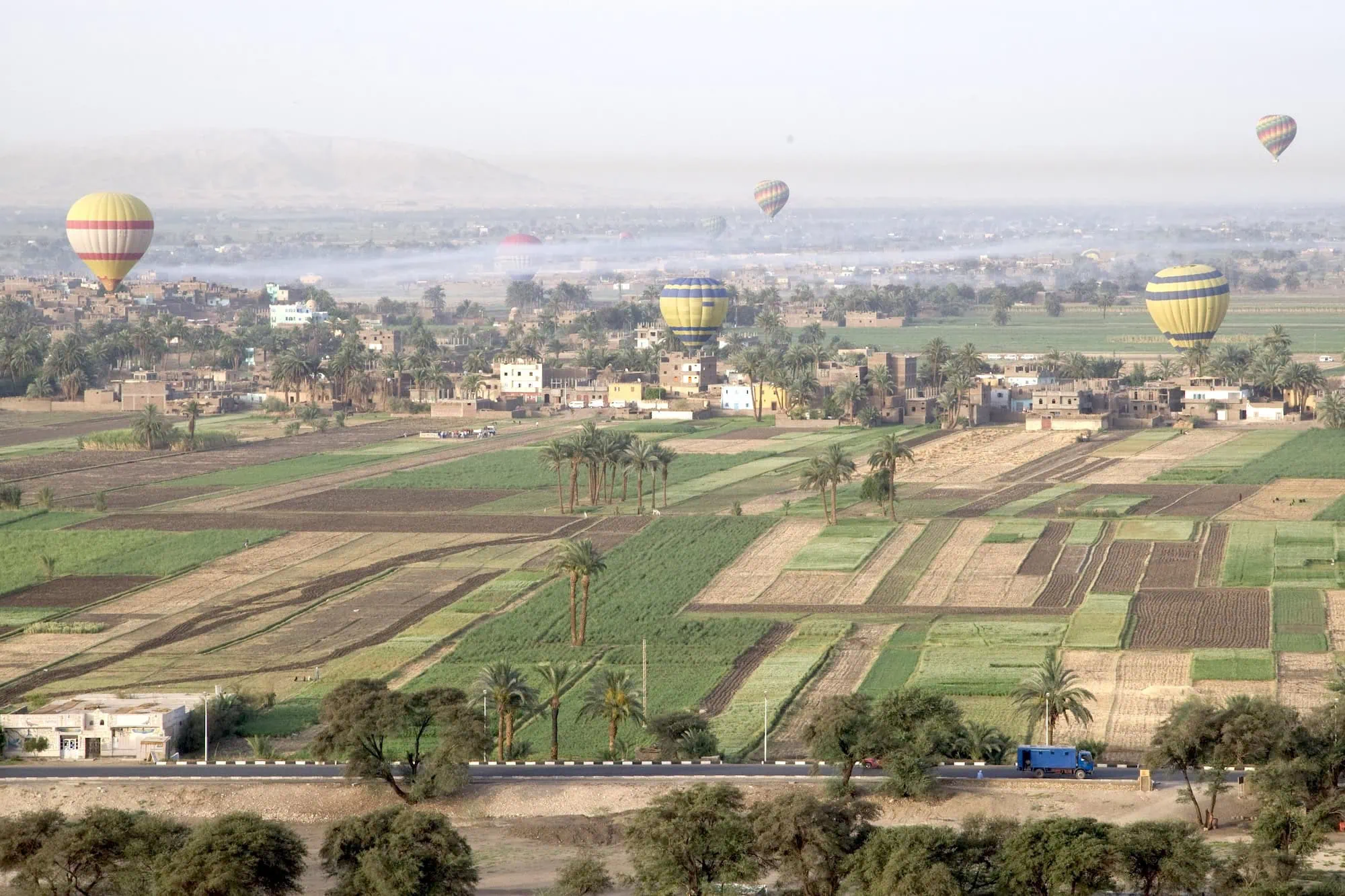 Hot air balloons floating over agricultural fields and palm trees near Luxor