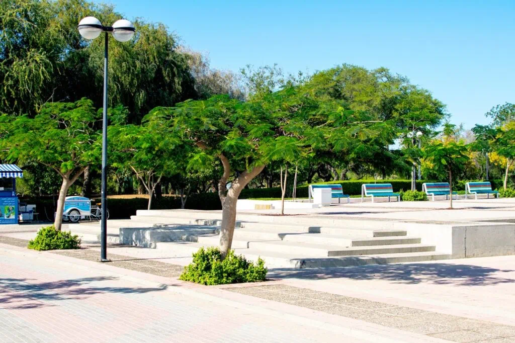 Shaded seating area with trees, benches, and paved steps at Al Mamzar Beach Park Dubai