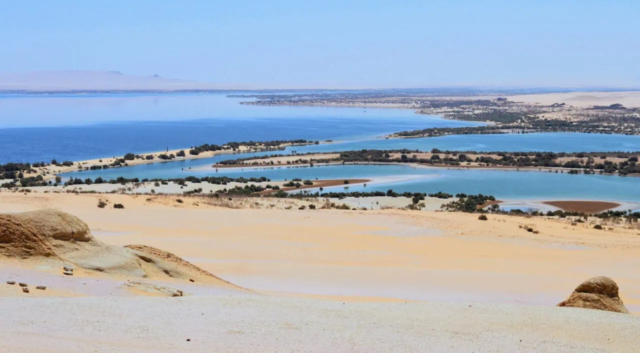 Beautiful Surreal Oasis In A Sandy Desert Fayoum Oasis In