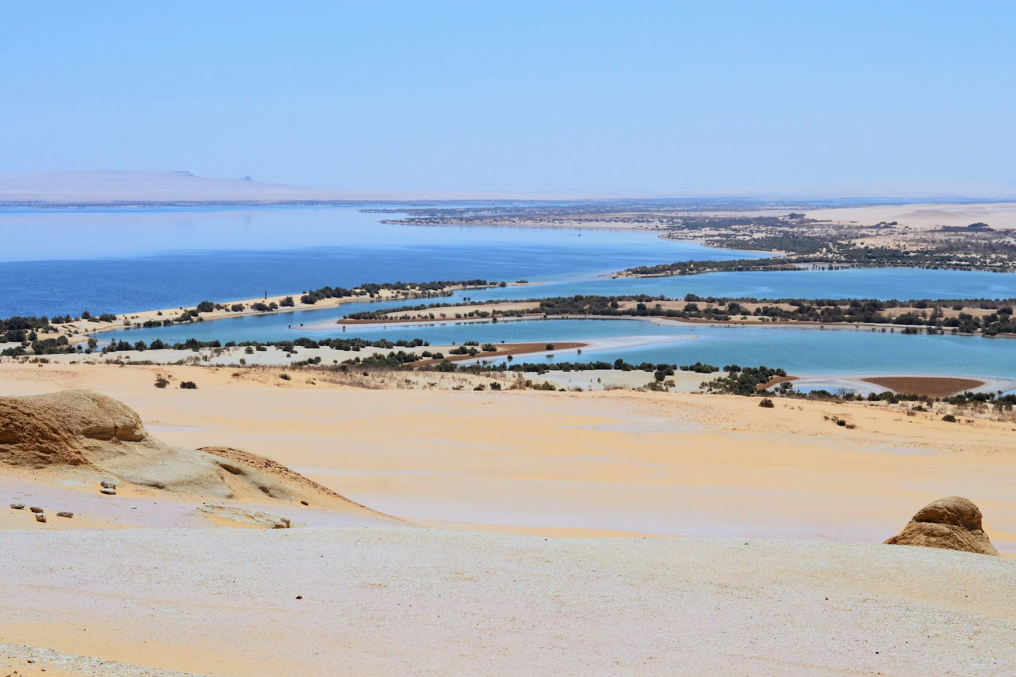Beautiful Surreal Oasis In A Sandy Desert Fayoum Oasis In